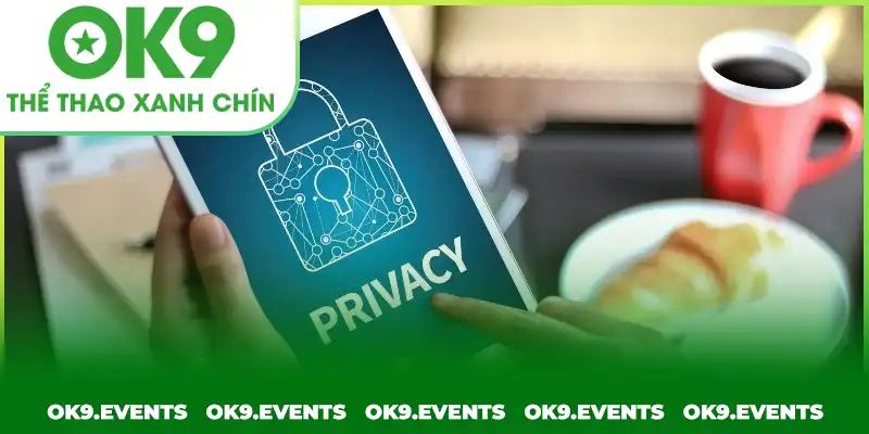 Chính sách được nền tảng chú trọng xây dựng bài bản